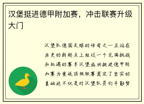 汉堡挺进德甲附加赛，冲击联赛升级大门
